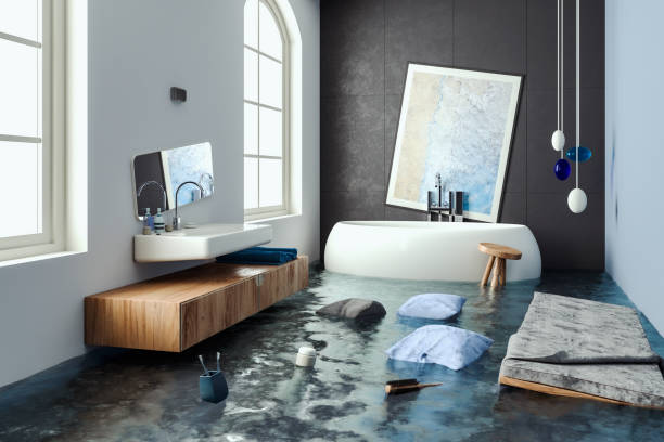 Best Local water damage restoration  in Port Townsend, WA