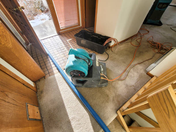 Best Water damage restoration near me  in Port Townsend, WA