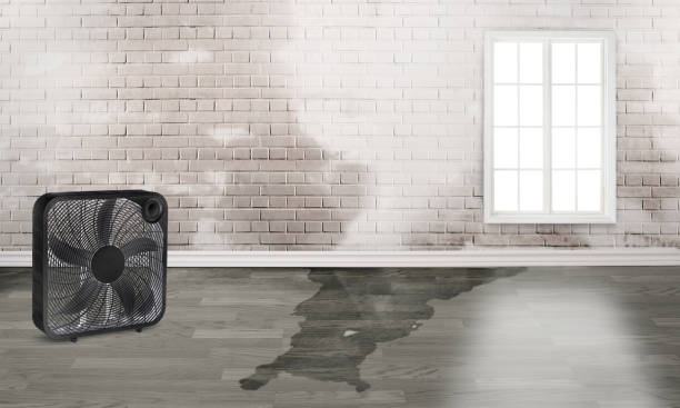 Best Fire Damage Restoration  in Port Townsend, WA