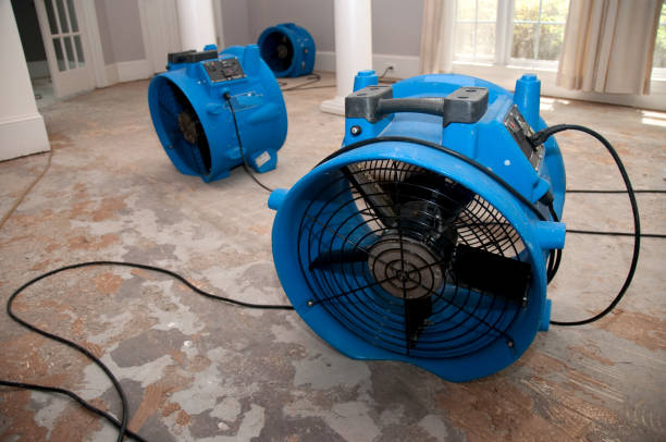 Best Emergency water damage restoration  in Port Townsend, WA