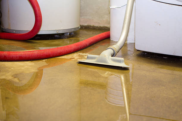 Best Commercial water damage restoration  in Port Townsend, WA
