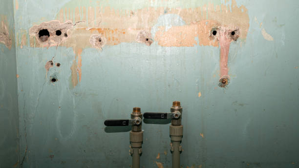 Best Water damage cleanup near me  in Port Townsend, WA
