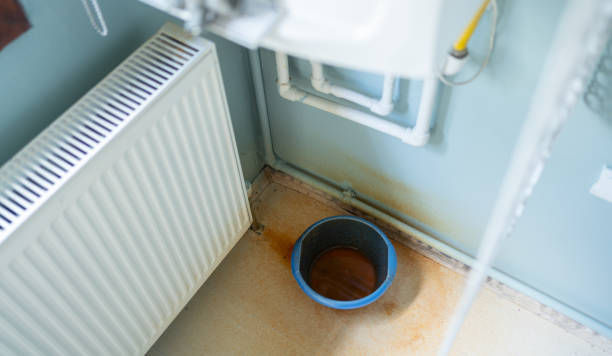Best Mold removal after water damage  in Port Townsend, WA
