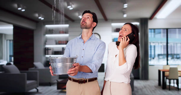 Best Water damage contractors near me  in Port Townsend, WA